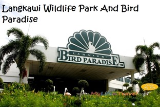 Langkawi bird paradise 03