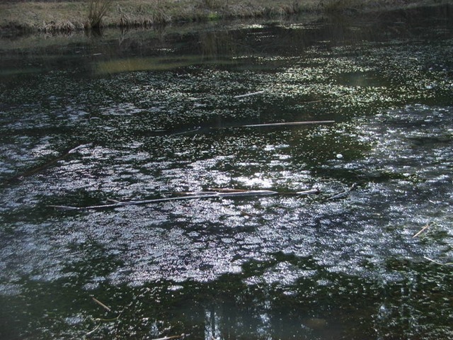 DSCF2628