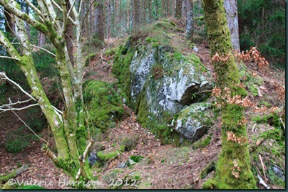 3-bolder
