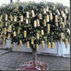 image00142