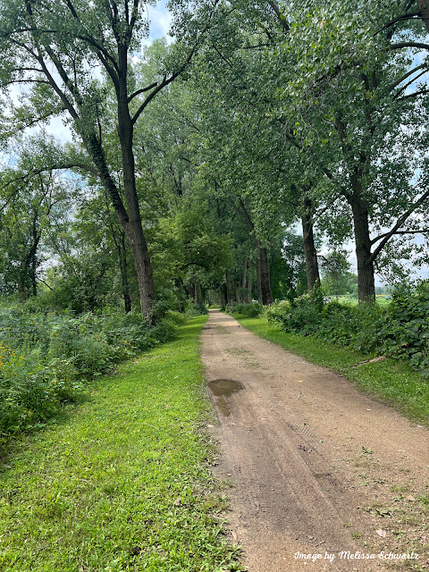 A natural trail welcomes hikers to the woodlands of  William G. Lunney Lake Farm County Park