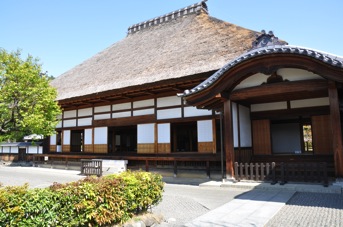 DSC 0341