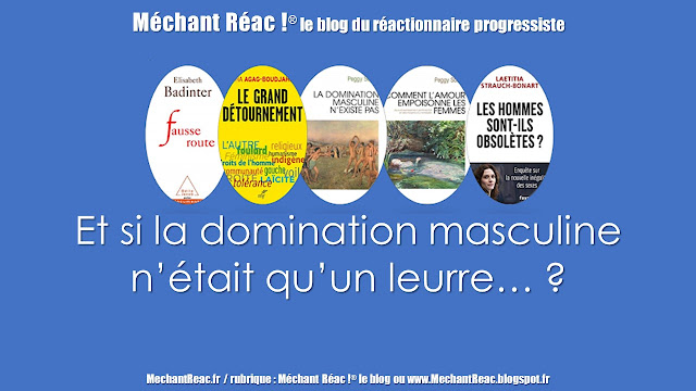 https://mechantreac.blogspot.com/2018/09/et-si-la-domination-masculine-netait.html