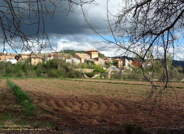 torrealta-torrebaja-valencia-torreon