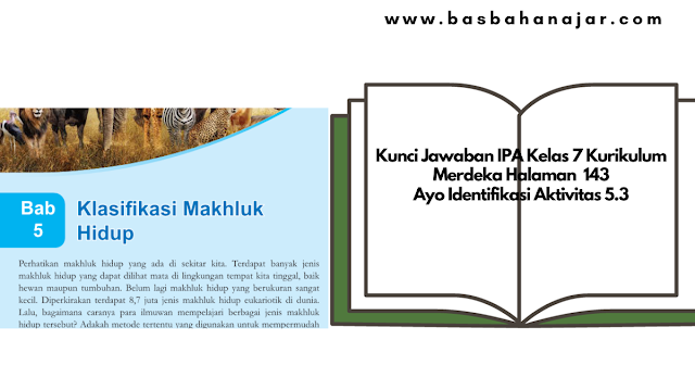 Kunci Jawaban IPA Kelas 7 Kurikulum Merdeka Halaman 143 Ayo Identifikasi Aktivitas 5.3