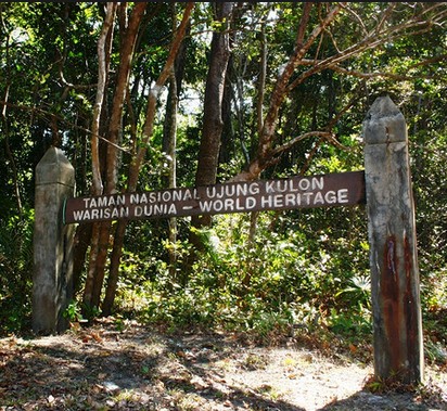 Pesona Keindahan Wisata Taman Nasional Ujung Kulon Di Sumur