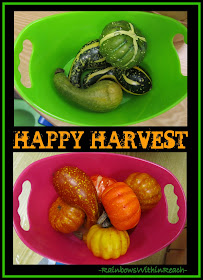 photo of: Happy Harvest: Sorting Fall Gourds in Preschool via RainbowsWithinReach