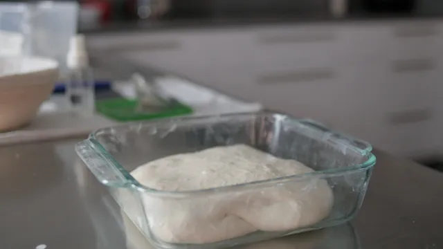 Sourdough before transferring to banetton