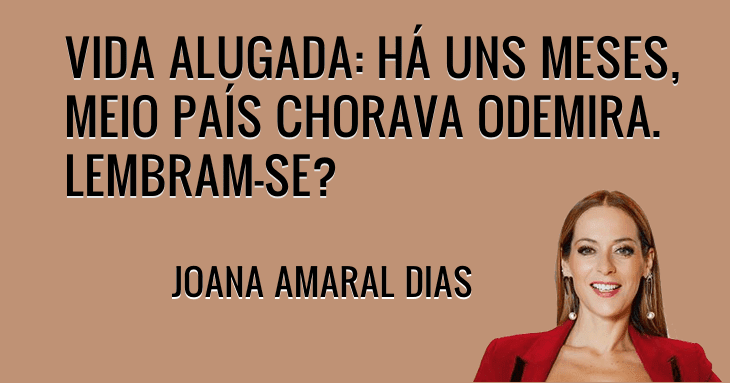 Odemira? Foi só miragem - Joana Amaral Dias