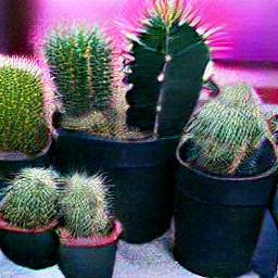 Grow Cactus Indoors Under grow lights.jpg