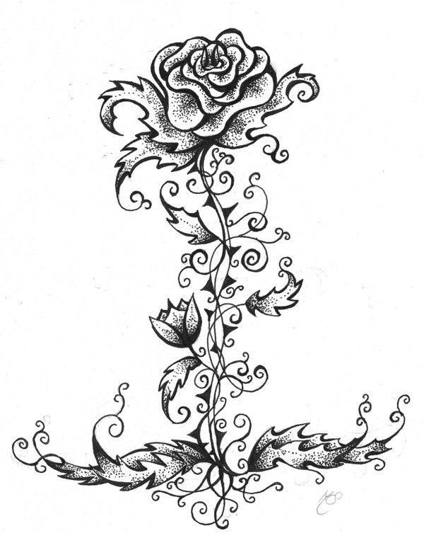 Sort Sorts Tattoo Rose Tribal Design 5