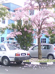 musim bunga
