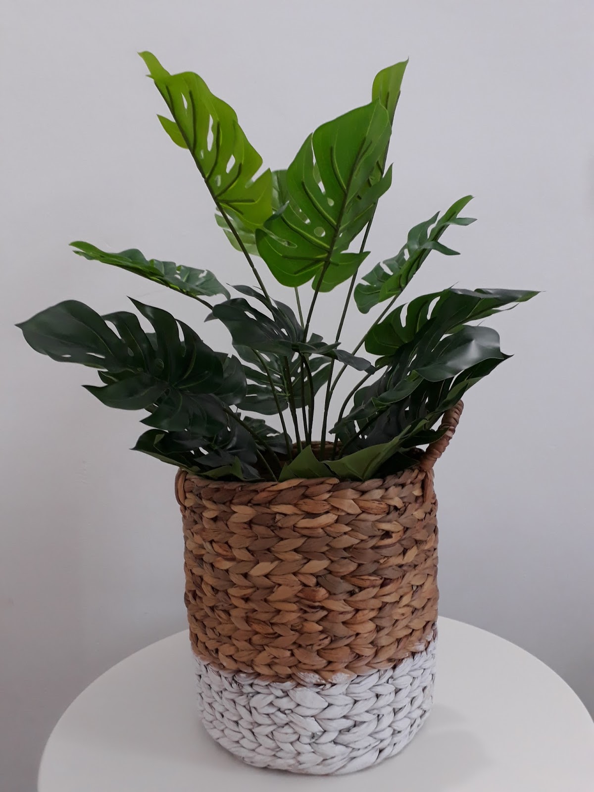 DIY Gubahan Artificial Plant - Monstera by SSF - Ayu Rashid