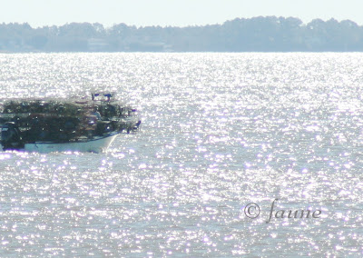 Crabber setting pots