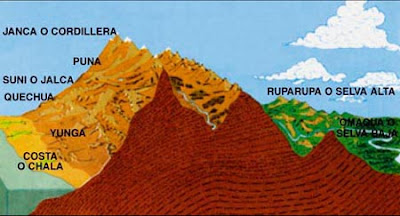 Las 8 regiones naturales