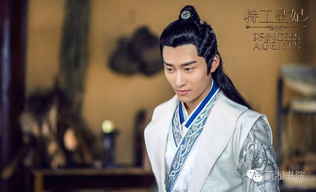 Shawn Dou in 2017 Chinese time-travel drama Princess Agents
