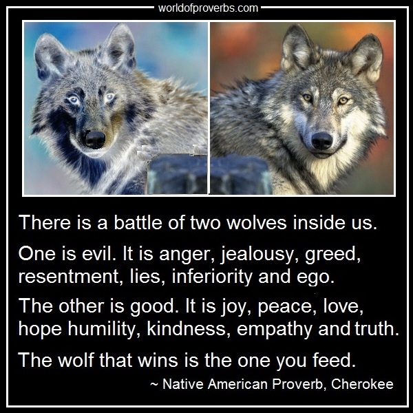 World of Proverbs: There is a battle of two wolves inside 