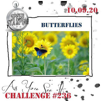 challenge 236 brisk butterflies