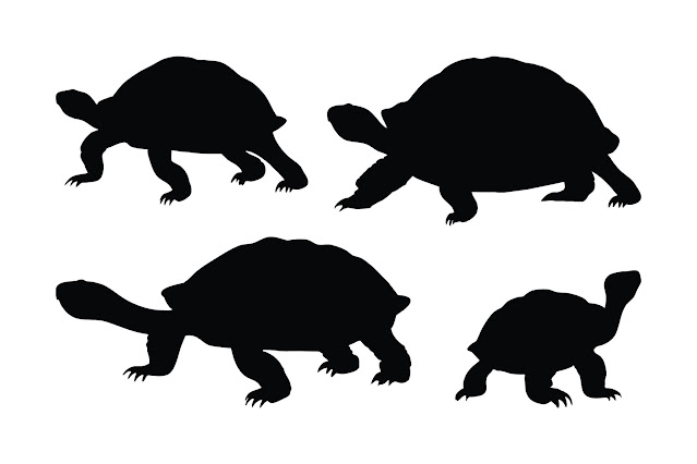 Tortoise walking silhouette set vector free download