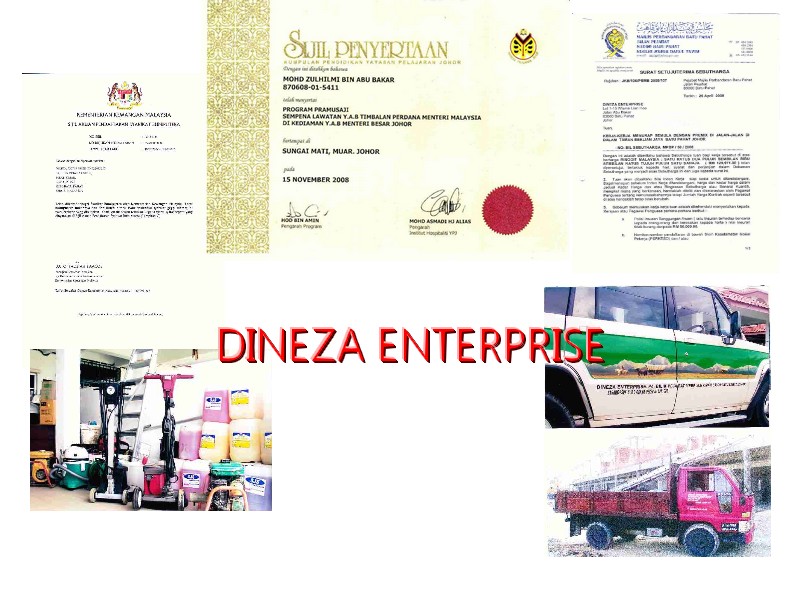 DINEZA ENTERPRISE: March 2011