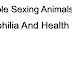 Zoophilia And Health - People Sexing Animals