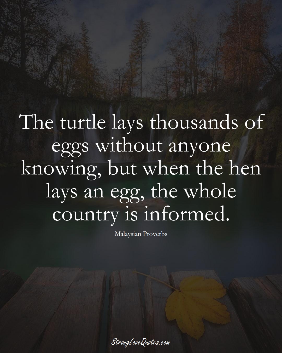 The turtle lays thousands of eggs without anyone knowing, but when the hen lays an egg, the whole country is informed. (Malaysian Sayings);  #AsianSayings