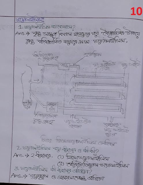 SSC Biology Chapter 8 Hand Note