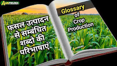 Terms Related to Crop Production in Hindi | फसल उत्पादन से सम्बंधित शब्दों की परिभाषायें