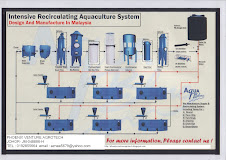Recirculation Aquaculture System