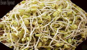 Bean sprout