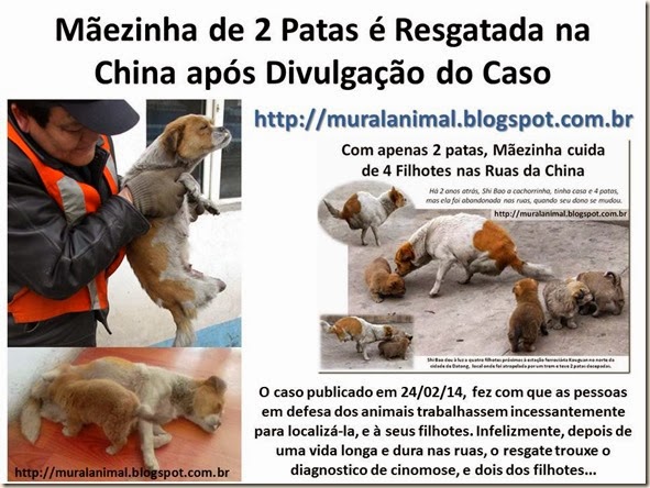 Mãezinha de 2 Patas é Resgatada na