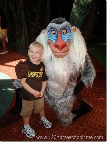 Animal Kingdom - Meet Rafiki from The Lion King