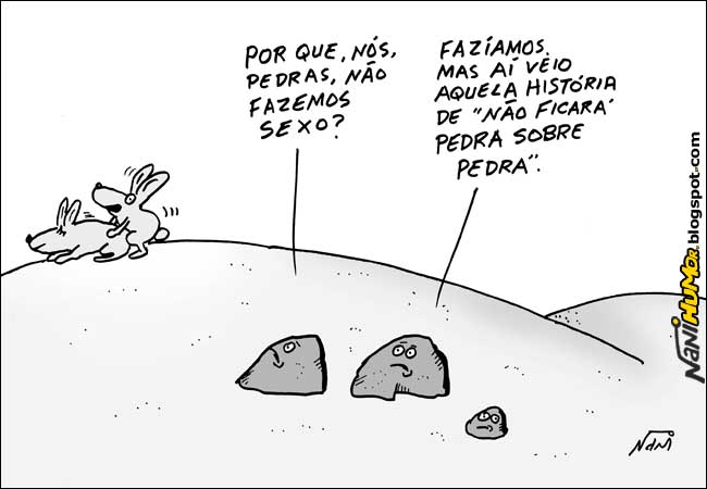 O Humor das Coisas (pedra, cofrinho e quadro)