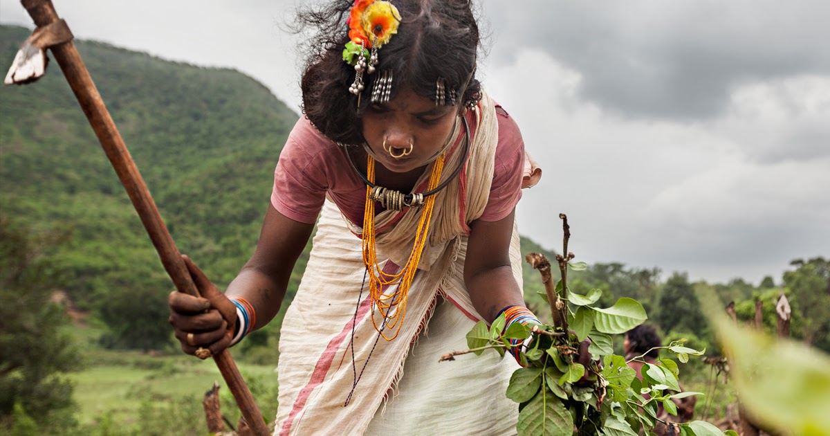 The Kui Samaj Samanwaya Samity, an organisation of Kui tribals in south  Odisha, has alleged police atrocities on a group of tribal families in  Ganjam district's Kasakendupalli village under the Bhanajangar police