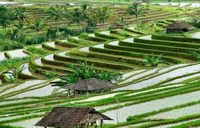 13 Warisan Budaya Indonesia Yang Telah Diakui Dunia Dan Tercatat Di UNESCO