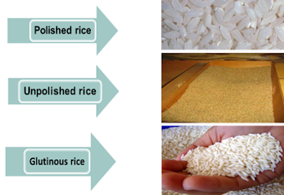 Types of Rice