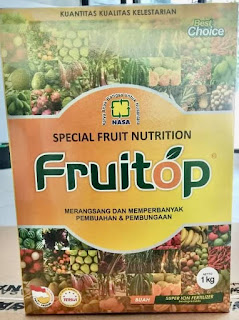 agen resmi fruit top