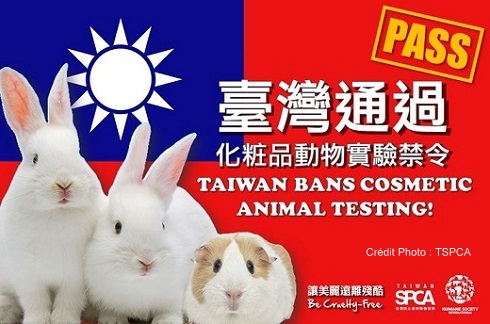 Tests sur les animaux interdits à Taiwan