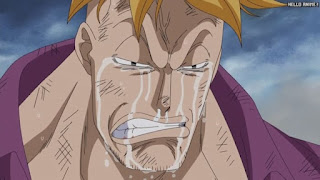 ワンピースアニメ 頂上戦争編 489話 不死鳥マルコ Marco the Phoenix | ONE PIECE Episode 489