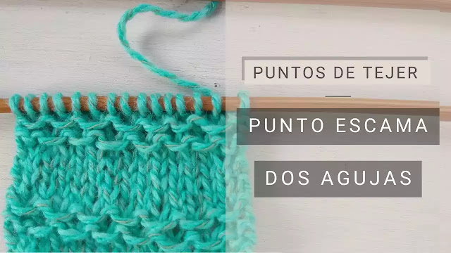 MARAVILLOSO TUTORIAL de Punto Escama a Dos Agujas