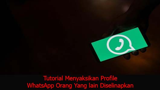 Tutorial Menyaksikan Profile WhatsApp Orang Yang lain Diselinapkan