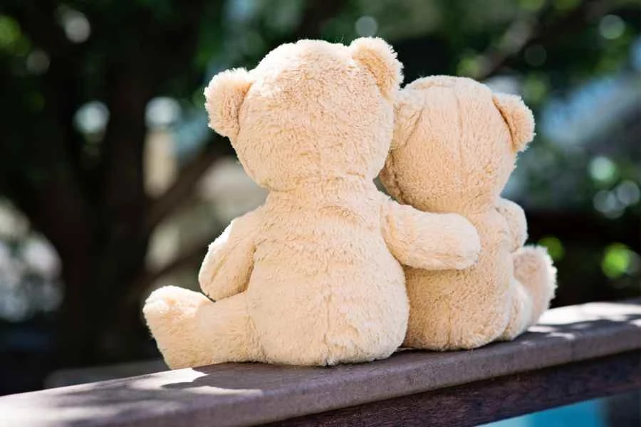 2 bears hugging each other. Stock image from Canva Pro