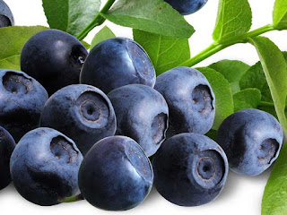 blueberry fruit images