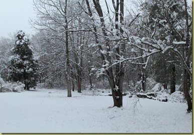 Spring2 (2)