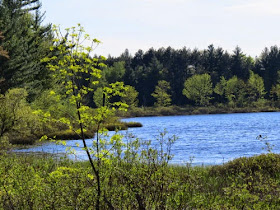 Howe Lake