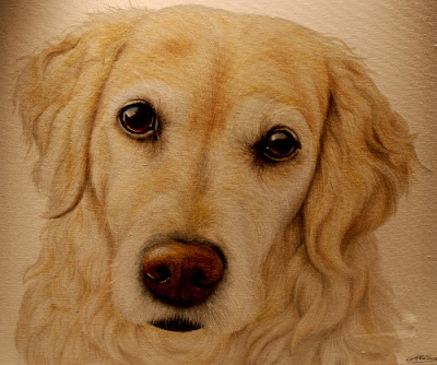 Golden Retriever Pet Portrait Oil on canvas