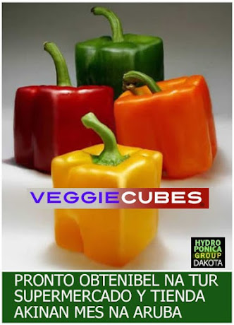 PRONTO!
