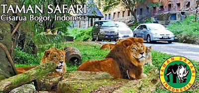 taman safari, tiket safari, safari bogor