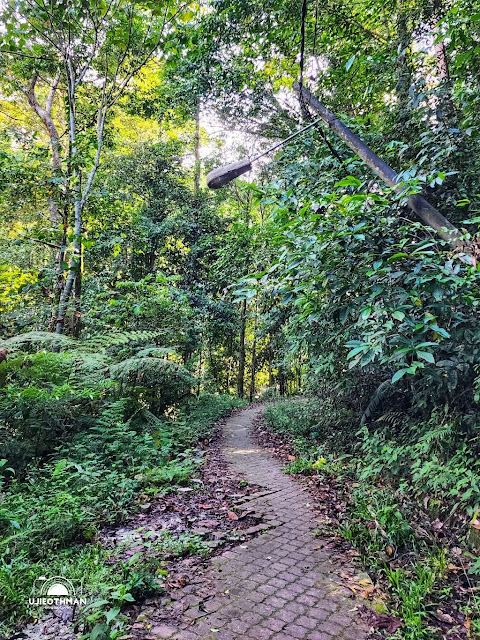 Sedim Rainforest Resort Hutan Lipur Sungai Sedim