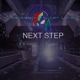 https://segments-of-life.bandcamp.com/album/next-step